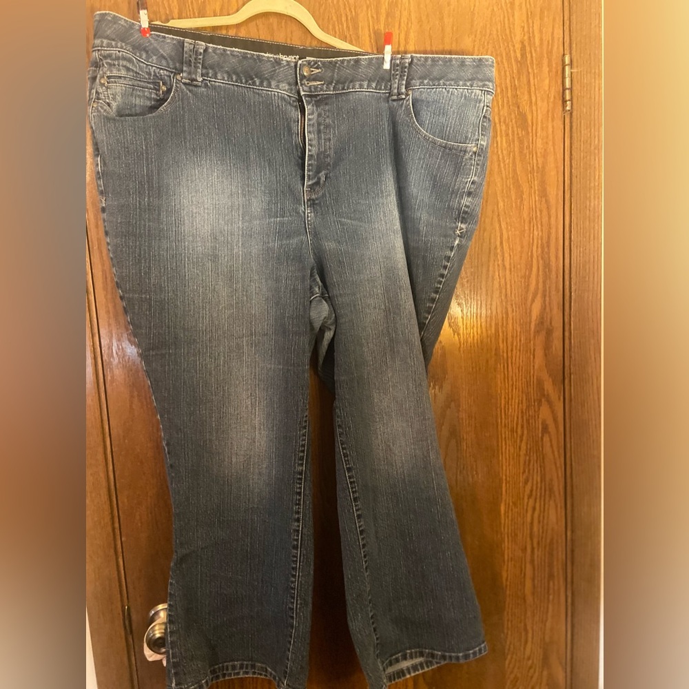 Lane Bryant jeans. Petite